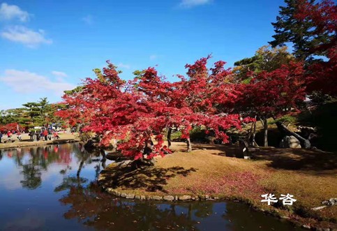 華咨水資源論證科技：創(chuàng)新論證方式，提升水資源利用效率