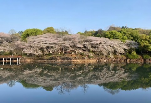 江西省專業(yè)交通技術(shù)服務(wù)公司_華咨航評和交評的核心優(yōu)勢有哪些？